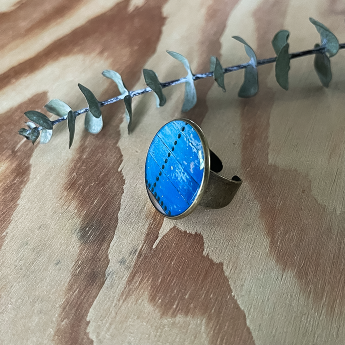 Adjustable Brass Ring - Resin coated - Blue Moroccan Door 2